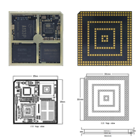 Rongpin LGA-A133P Allwinner A133P Kit de développement de carte de base pour modules et kits Linux Quad-Core fabriqués en Chine avec montage