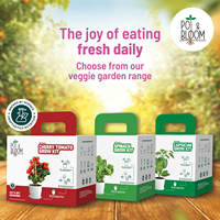 Kit de culture de fleurs de zinnia en boîte de conserve DIY, design ferme, pour plantes et fruits, fleurs artificielles pour jardin, maison, bureau ou sol