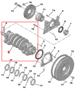 Vilebrequin d'origine OE 0501H9 9647508580 D111541 pour Peugeot 206 206CC <span class=keywords><strong>207</strong></span> 307 Citroën C4 SHIJIA - Product Image 2