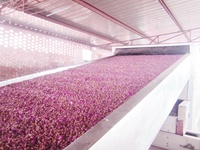Séchoir à bande en maille Séchoir à feuilles de chanvre Séchoir à fleurs Plc Control Aromatique Camomille Menthe Cedron Rose Séchoir à fleurs