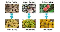 Industriële stoomschiller van commerciële kwaliteit, op maat gemaakt voor een fruit- en groente verwerkingslijn met hoge capaciteit.