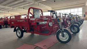 Tricyclecra Motos à <span class=keywords><strong>3</strong></span> <span class=keywords><strong>roues</strong></span> d'occasion à <span class=keywords><strong>vendre</strong></span> Pickup Truck Cargo 2024 Adultes - Product Image 5