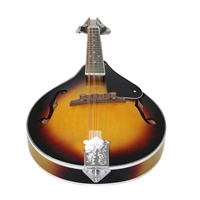 Mandoline à 8 cordes en bois de tilleul, mandoline sunburst, instrument de musique avec cordes en laiton, instrument à cordes, pont réglable