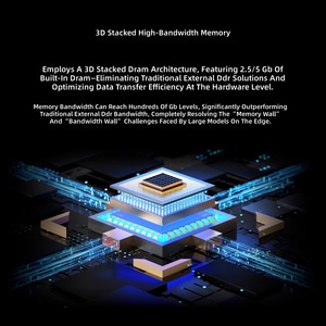 การ์ดประมวลผล AI RK1820 RK1828 M.2 M-Key 20TOPS INT8 NPU 3D Stacked DRAM Edge LLM Accelerator สำหรับการอินเฟอเรนซ์โมเดลขนาดใหญ่แบบพื้นที่ - Product Image 5