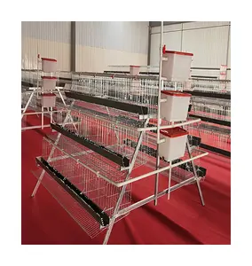 Poultry farm A type chicken layer cage egg hens farm cage in Philippines