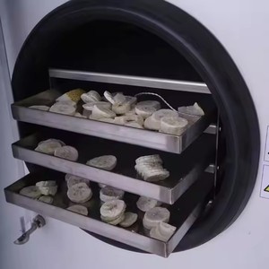 Mini Liofilizador de Alimentos para Uso Doméstico, Control Digital, Fácil Operación, Máquina de Secado por Congelación - Product Image 4