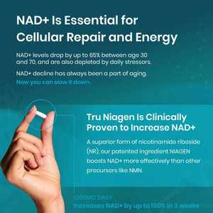 Complément alimentaire anti-âge OEM/ODM pour adultes, capsules de booster de NAD+ haute puissance - Product Image 3