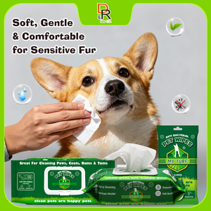 Lingettes nettoyantes pour animaux de compagnie à faible quantité minimale de commande pour le nettoyage de la boue des pattes du <span class=keywords><strong>chiot</strong></span> - Product Image 5
