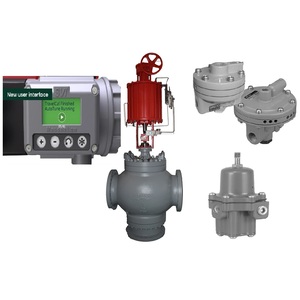 ตัวเพิ่มแรงดัน Masoneilan SVI3-21121212 BR200 รุ่น 67CFR พร้อมตัวกรองและตัวควบคุมการไหล HCP Flow Control HCP - Product Image 6
