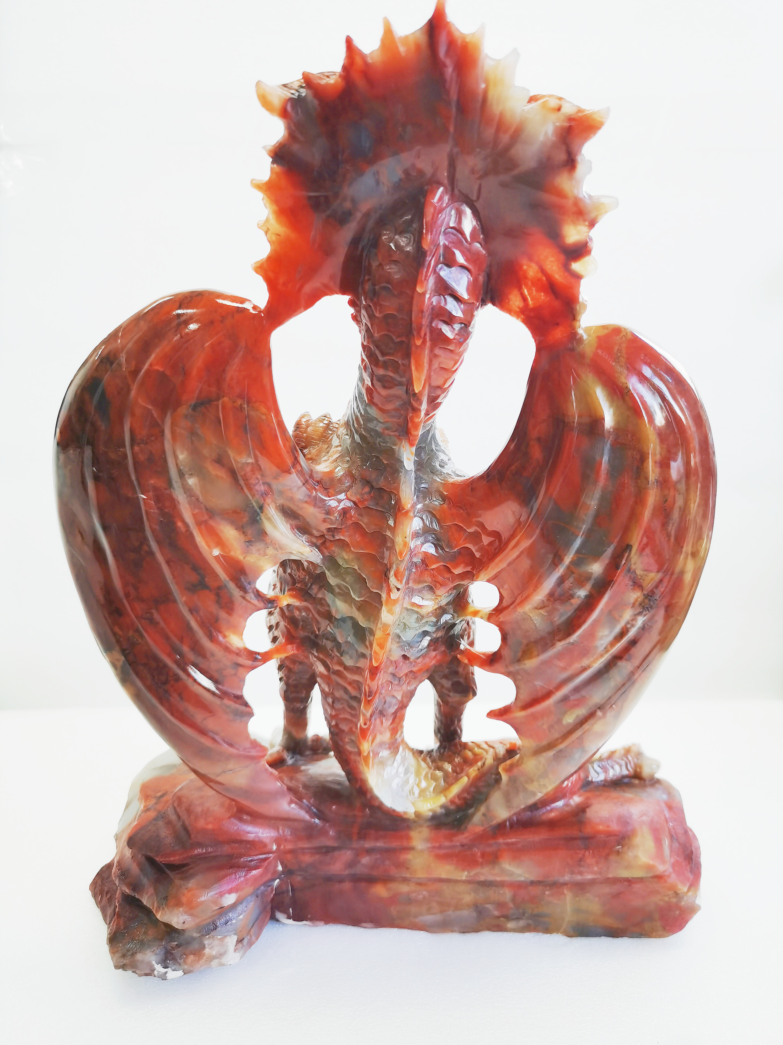 How to Choose the Best Bearded Dragon Vivarium: A Complete Buying Guide