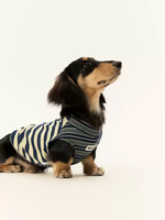 Gilet rafraîchissant rayé pour chien, idéal printemps-été, fin, respirant, lavable en machine, vêtements pour animaux de compagnie, convient aux petits chiens et aux Teckels