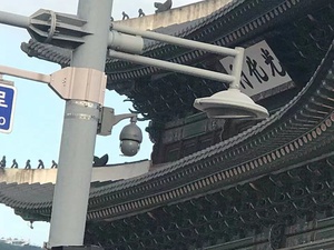 New 4G không dây PoE tốc độ cao IR <span class=keywords><strong>Dome</strong></span> Monitor Home mạng trong nhà thông minh IP Camera PET an ninh <span class=keywords><strong>wifi</strong></span> máy ảnh - Product Image 3