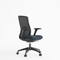 Chaise de bureau ergonomique en maille bleue pour le personnel, le visiteur, le patron, le fabricant, avec soutien lombaire moyen et accoudoirs