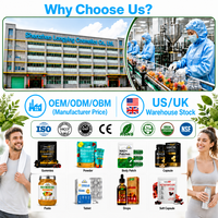 SOLOTREE Patchs Digestifs Personnalisés aux Herbes (Pissenlit, Fenouil) – Soutien Digestif Équilibrant – 30 Unités – Vente Directe Usine OEM pour Distributeurs