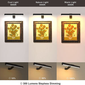 Lámpara de pared inalámbrica de retrato con luz de cuadro de pintura LED con baterí<span class=keywords><strong>a</strong></span> recargable, pantalla de arte <span class=keywords><strong>para</strong></span> sala de estar hecha de Metal - Product Image 3