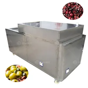 Industrial Palm Dates Red Jujube Dates Seed Removing Date Seeds Pitting Machine For Sale