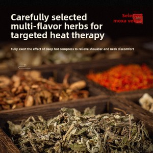 Paket Pijat Kesehatan Terapi Fisioterapi Kompres Panas Tulang Belakang Serviks Wol Moxa Pemanas Listrik untuk Bahu dan Leher - Product Image 4