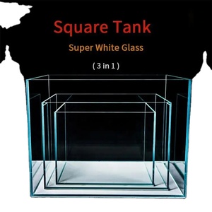 Mini Acquario Rettangolare in Vetro Ecologico con Sistema <span class=keywords><strong>d</strong></span>'<span class=keywords><strong>Acqua</strong></span> Intelligente per la Cura delle <span class=keywords><strong>Tartarughe</strong></span> - Product Image 1