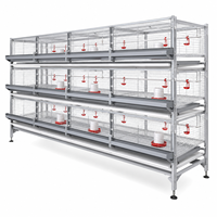 Nouvelle cage d'élevage de poussins de type H à 4 niveaux, galvanisée à chaud, pour 240 poussins, avec mangeoire/abreuvoir en PVC, durée de vie de 18 ans