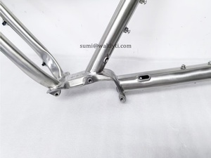 Cuadro de bicicleta <span class=keywords><strong>MTB</strong></span> de titanio de 29 pulgadas para caja de cambios Pinion P1.18 - Product Image 5