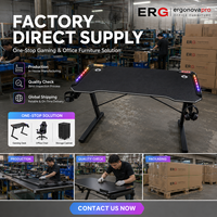 Ergonova RGB Gaming Desk with LED Lights Carbon Fiber Surface Storage Z-shaped Computer Table OEM Custom E-Sports Desk