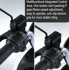 Vélo électrique silencieux avec moteur silencieux de 1000 W et pneus à roulement fluide pour un trajet sans bruit, vélo électrique à batterie au plomb-acide - Product Image 2