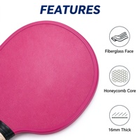 Ensemble de raquettes de pickleball en fibre de verre en gros, matériel de sport d'extérieur, raquette avec sac de balles à 40 trous, fournisseur d'usine
