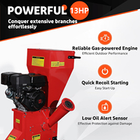Broyeur de Branches et de Feuilles à Moteur Essence 13HP avec Pompe à Roulement, Déchiqueteuse de Bois pour Jardin et Foresterie