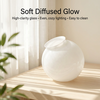 Applique Murale en Verre Soufflé à la Main, Forme Sphérique, pour Intérieur, Extérieur, Porche et Jardin – Vente Chaude Directe Usine