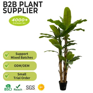 Arbre à bananes artificiel <span class=keywords><strong>Musa</strong></span>, grand, durable, écologique, résistant aux intempéries et aux UV, <span class=keywords><strong>d</strong></span>écoration pour les maisons et les bureaux - Product Image 2