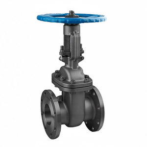 Válvula de Globo Manual COVNA de Varios Tamaños para Vapor, Acero Fundido, Brida DIN PN16, Upvc/Latón/Acero Inoxidable - Product Image 2