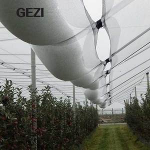 <span class=keywords><strong>Filet</strong></span> <span class=keywords><strong>anti</strong></span>-<span class=keywords><strong>grêle</strong></span> économique - Maille agricole <span class=keywords><strong>anti</strong></span>-<span class=keywords><strong>grêle</strong></span> stabilisée aux UV - Product Image 2