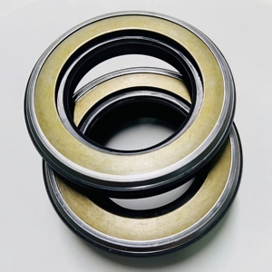 Sello de aceite de esqueleto NBR, sello de motor de motocicleta, resistente al desgaste, duradero, fabricado en China, componentes de sellado de dos ruedas - Product Image 2