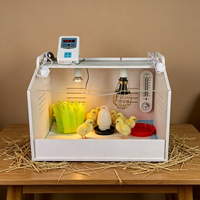 Boîte d'élevage portable pour poussins, incubateur de 30 œufs, plateau d'élevage pour oiseaux et reptiles