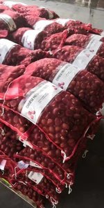 Châtaignes Fraîches <span class=keywords><strong>Prix</strong></span> de Gros Noix Brutes Douces et Savoureuses Approvisionnement en Vrac pour Supermarchés et Transformation Alimentaire - Product Image 5