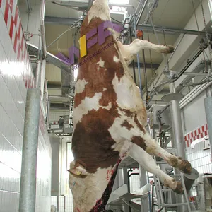 Мусульманское халяльное оборудование для убоя крупного рогатого скота 100-200, устройство для убоя коров, направляющее для скотобойни крупного рогатого скота