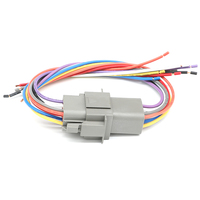 Conector Impermeable Automotriz LIZONE DT04-8P-L012 de 8 Pines Macho, Arnés de Cableado con Cable Electrónico de 18AWG y 20cm de Longitud
