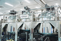 Reactor Químico con Certificación CE, Recipiente de Mezcla con Camisa para Línea de Producción de Jabón Líquido, Detergente y Champú, Fabricante