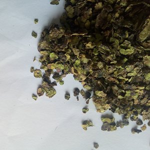 Fu Ping - Lemna Minor (Lemna Minor) Seca, Cruda, Silvestre y Natural al <span class=keywords><strong>por</strong></span> <span class=keywords><strong>Mayor</strong></span> - Product Image 3