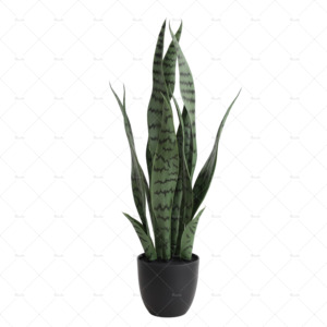 Plante serpent artificiel résistant aux UV | Usine directe | Faux <span class=keywords><strong>Sansevieria</strong></span> abordable pour la décoration intérieure et extérieure - Product Image 5
