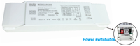 Arus konstan IP20 12W Tuya Wifi Zigbee Smart Led Driver 24-42V 200-300mA