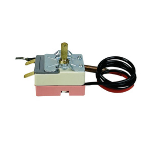 Chauffe-eau électrique industriel avec régulateur de température réglable et élément chauffant capillaire pour la température des liquides (TDS) - Product Image 4