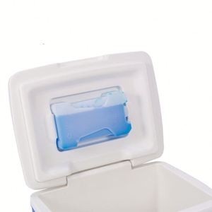 Nevera Portátil Aislada de 8L para Camping, Mini Refrigerador para Bebidas, Cerveza y Alimentos, Caja Impermeable - Product Image 5