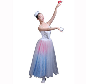 Long Ballerina Dress - Elegant Ballet Stage Wear