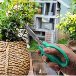 Nice Stainless Steel Pruning Shears Green Bypass 10-20 Mm For Fruit Vegetable Gardening Home Use - Product Image 1