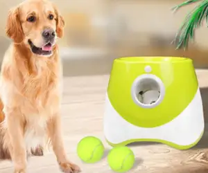 热卖狗玩具自动宠物狗追逐玩具投掷弹球现代训练宠物机互动投掷