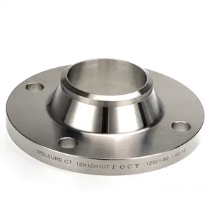 ASME B16.5 A182 F60 CL300 Flange Stainless steel Flanges WN SO BL SAE Flanges RF RTJ