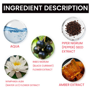 Perfume <span class=keywords><strong>de</strong></span> Feromonas Magnéticas Roxelis, fragancia duradera, elegante, natural, no irritante, perfume encantador para citas <span class=keywords><strong>de</strong></span> mujeres. - Product Image 5