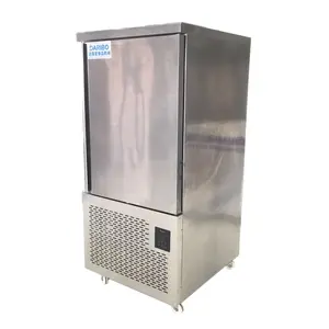 10 Pans CE认证的鼓风冷水机冰柜价格出售