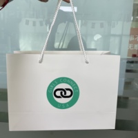 Custom Biodegradable Recycled Laminated Paperboard Luxury Gift Shopping Bags Screen Printed Business Name Jewelry Packaging